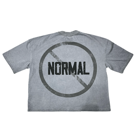 𝕿𝖍𝖊 𝖑𝖔𝖘𝖊𝖗𝖘 Oversized Boxy Tee Grey