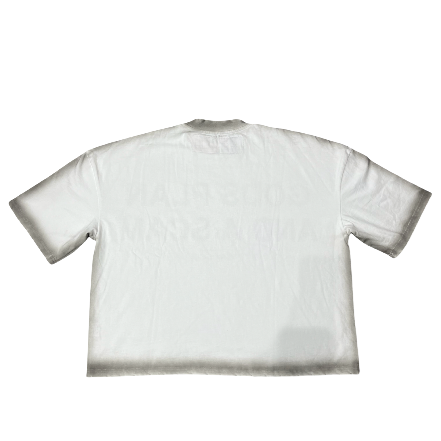 𝕲𝖔𝖉𝖘 𝕻𝖑𝖆𝖓 𝖆𝖓𝖉 𝖆 𝕾𝖈𝖆𝖒 Tee White